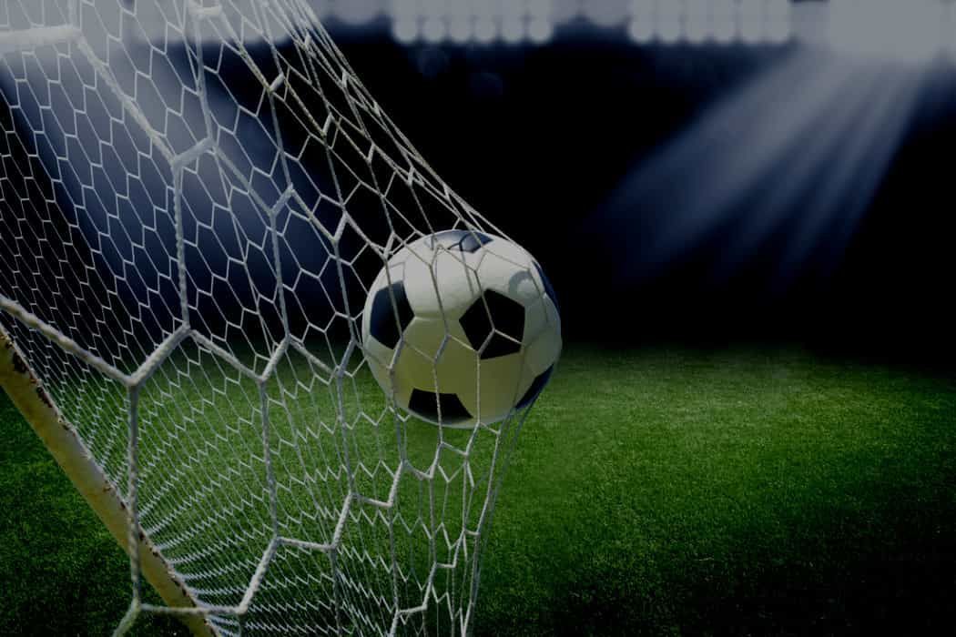 porque tiro al palo.net no funciona