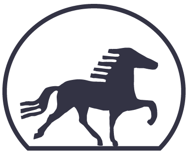 Islandpferde Tannenwald