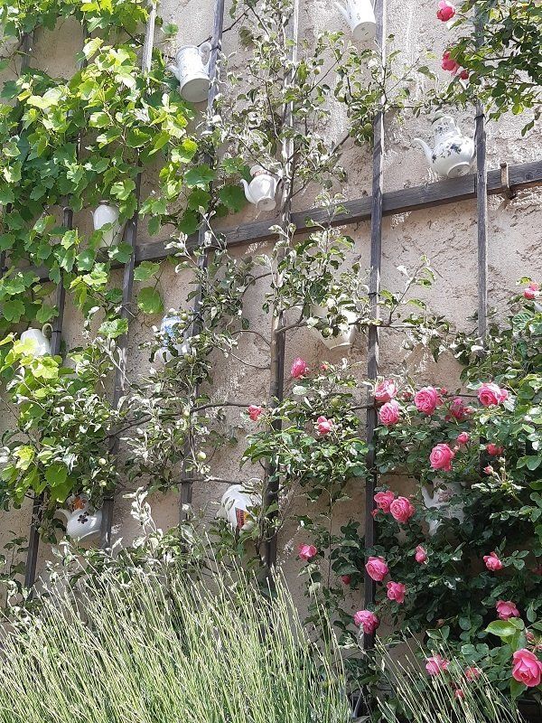 Rosen und Kaffeekannen auf der Leuchtenburg