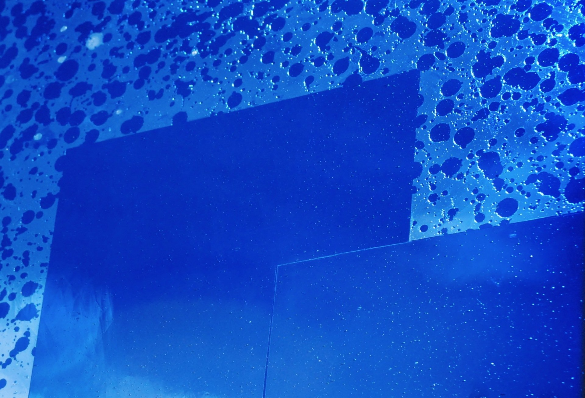 Architectural glass art stained glass Oksana Kondratyeva London