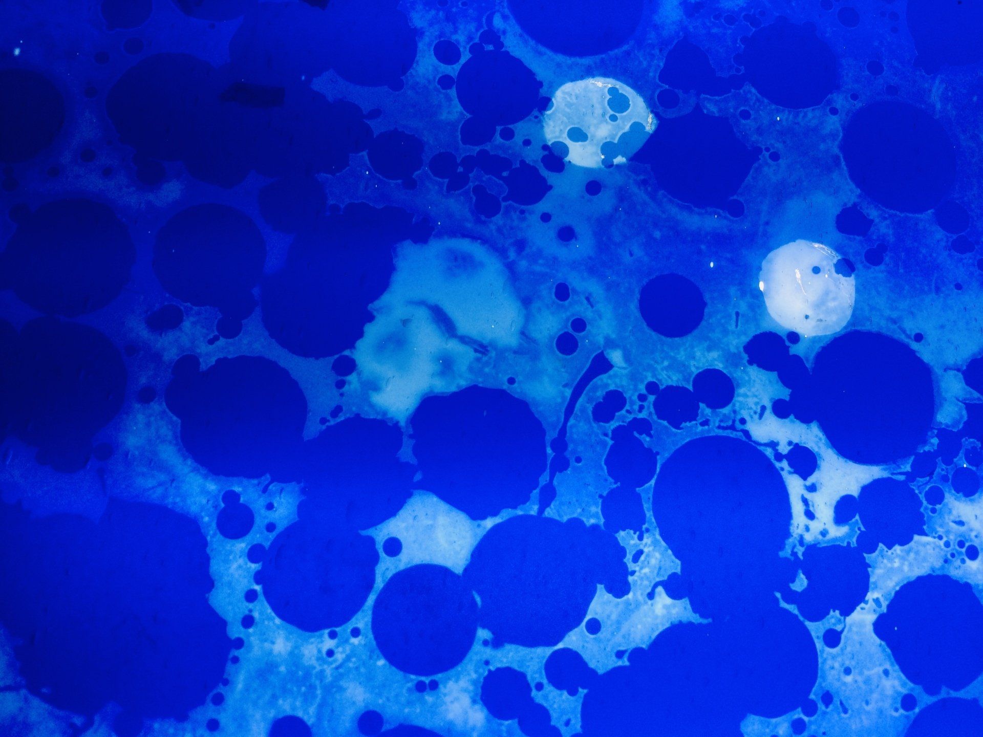 Architectural glass art stained glass Oksana Kondratyeva London