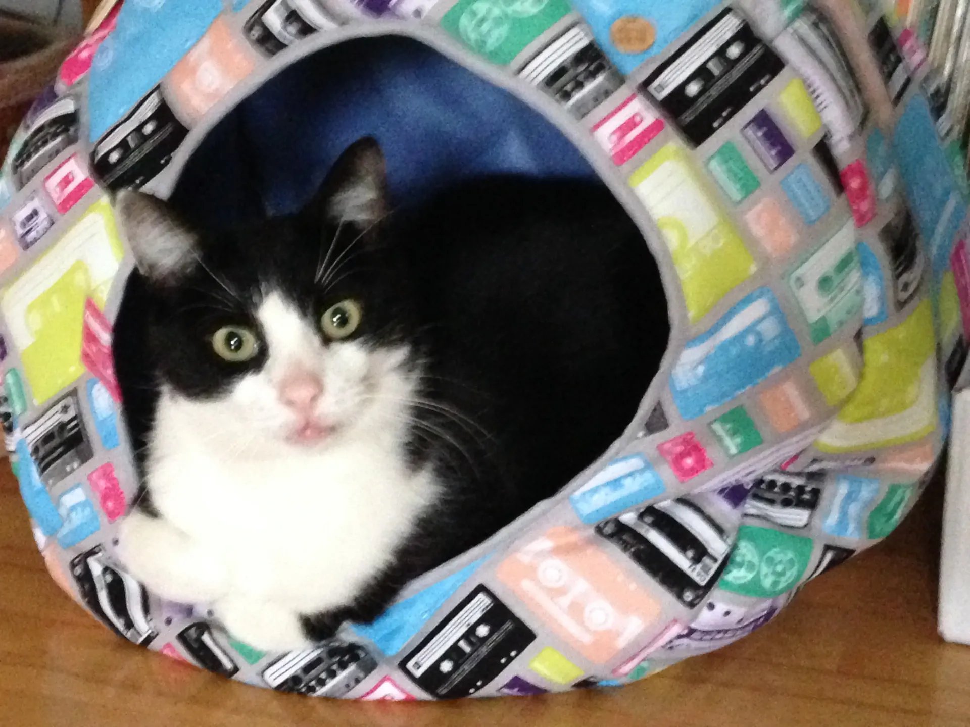 katzenbett-kuschelhoehle-handgemacht-katzenhoehle-hundehoehle