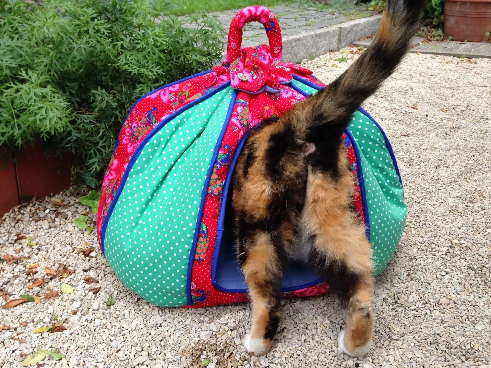 katzenbett hundebett