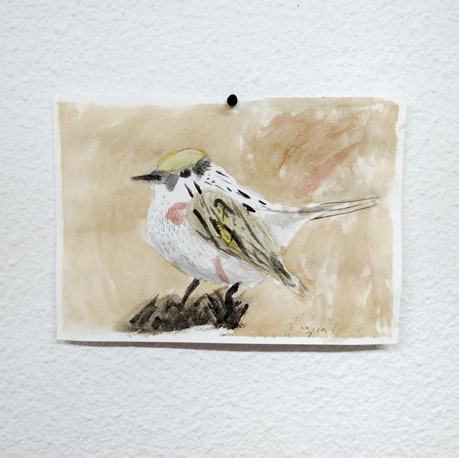 Clases extraescolares de dibujo y pintura para niños en Ciudad Lineal Madrid. Quintana, Pueblo Nuevo, La Elipa