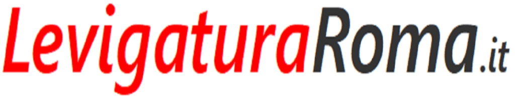 Levigatura Pavimenti Roma Levigatura Pavimenti Roma