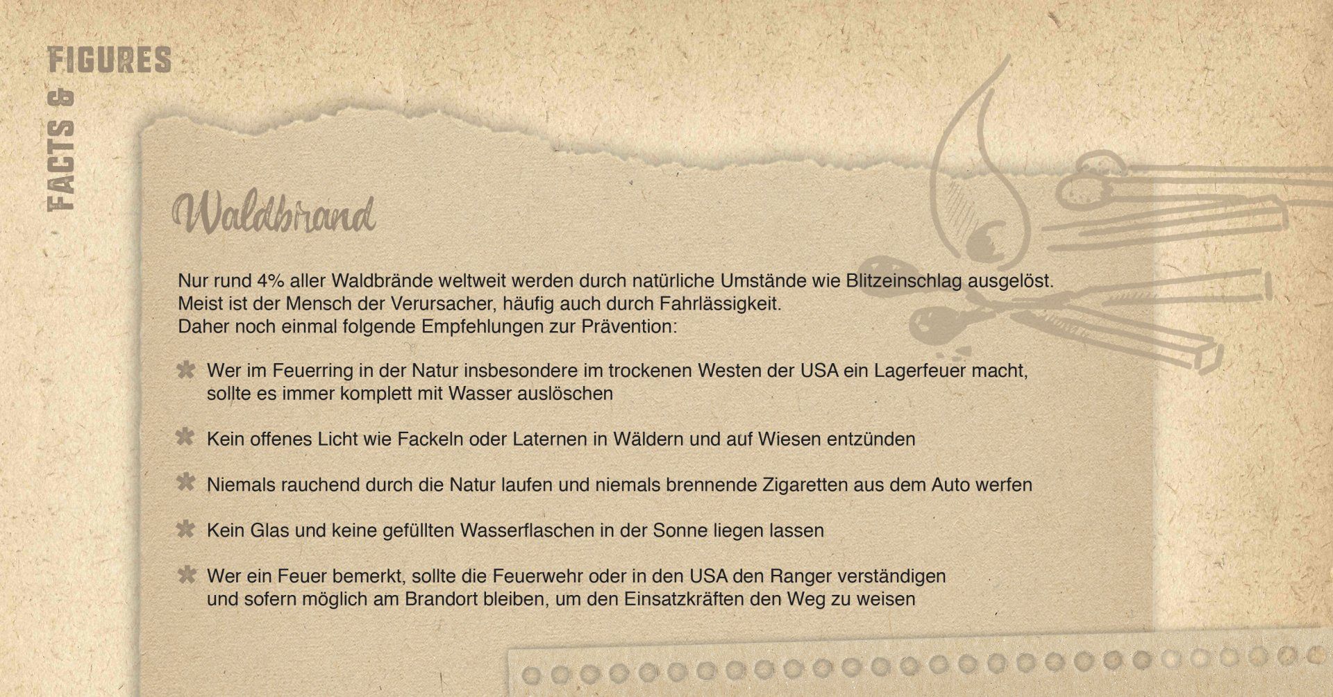 Blick auf die Grafik eines Kastens mit Fakten zum Thema