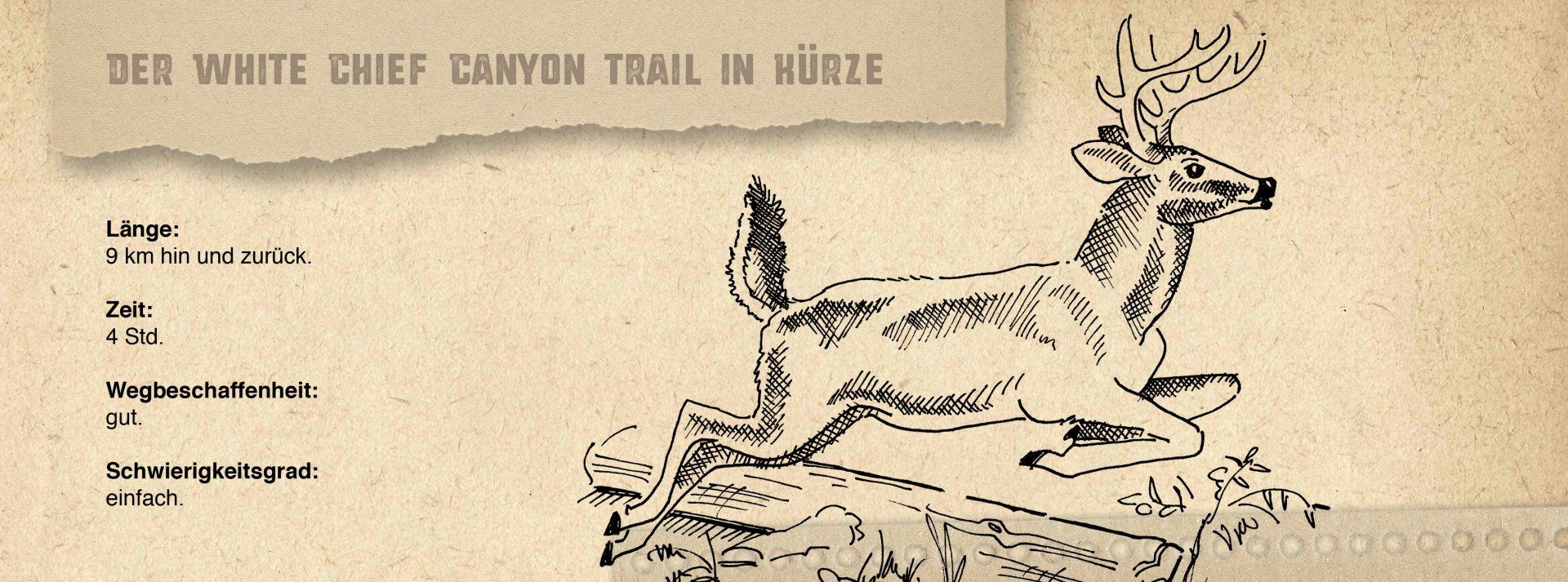 Abbildung der Grafik eines Kastens mit Informationen zur Wanderung zum White Chief Canyon im Sequoia National Park