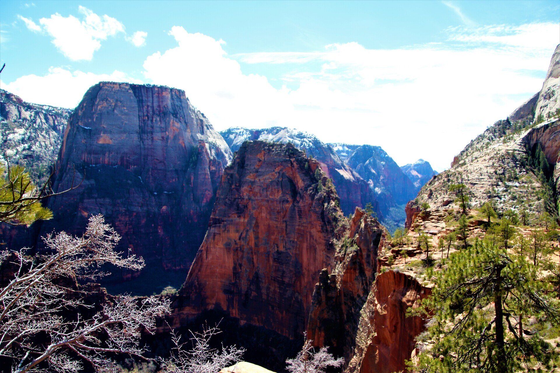 Blick auf Angels Landing im Zion National Park vom West Rim Trail aus gesehen