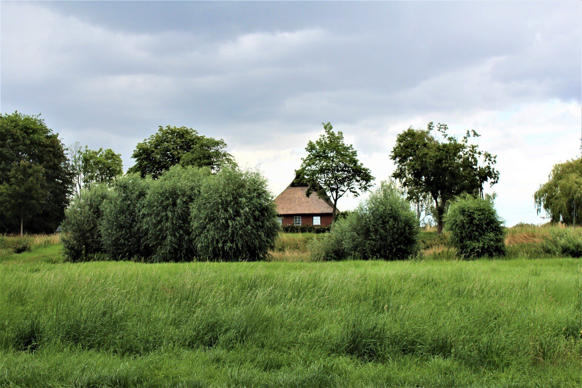 Blick auf ein Bauernhaus am Moorfleeter Deich