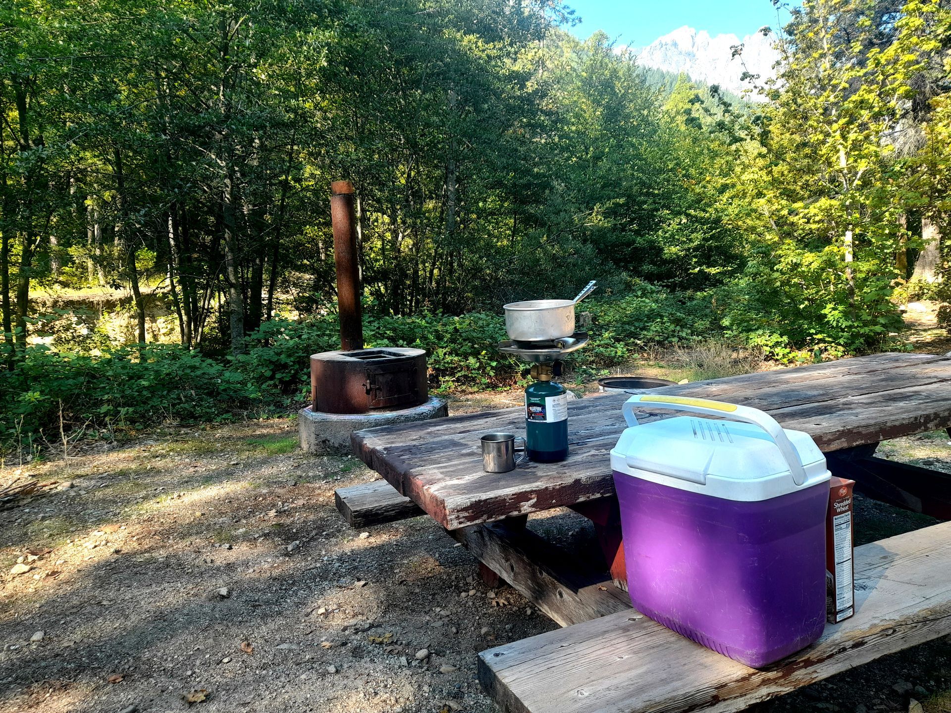 Blick auf einen Picknick-Tisch mit Kühltruhe und Kocher auf einem Campingplatz