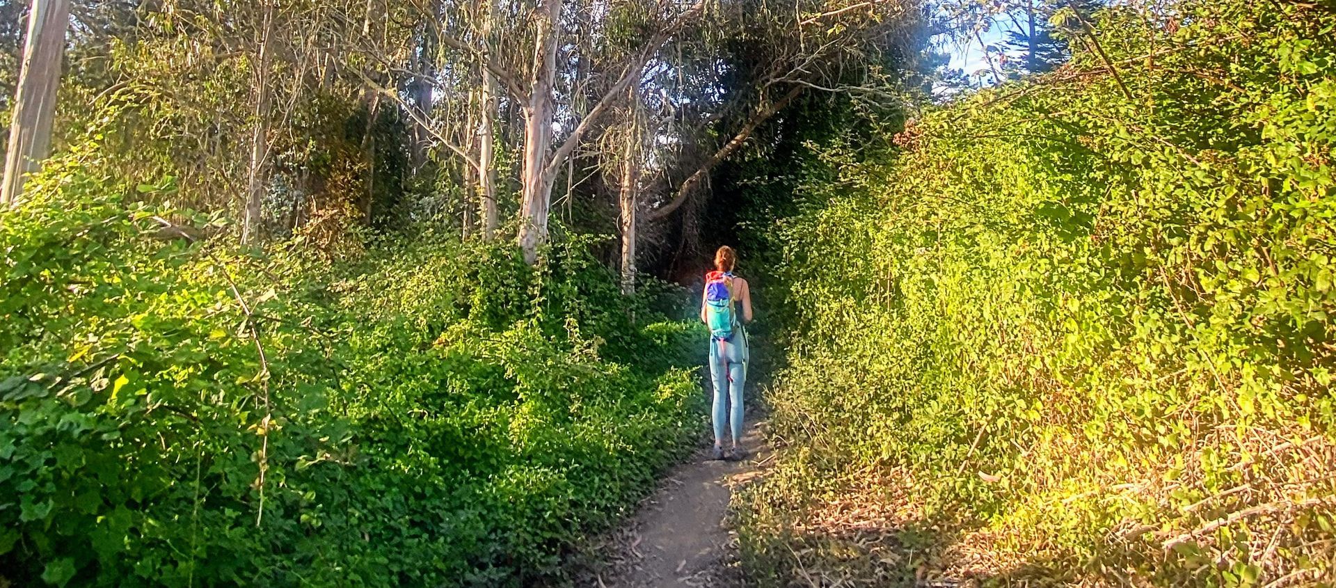 Blick auf die Autorin Dagmar Grutzeck im Laguna Honda Trail System in San Francisco