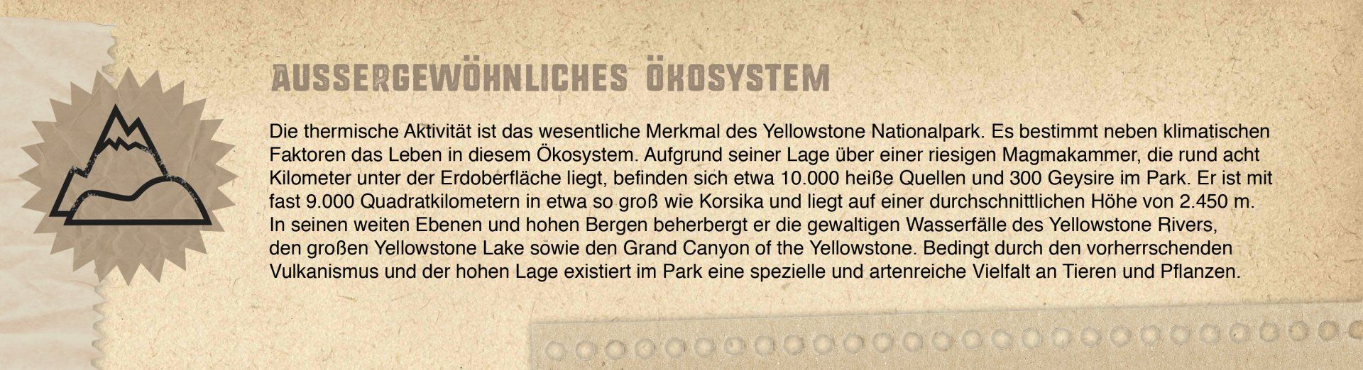 Grafik eines Kastens mit Zahlen und Fakten zum Yellowstone National Park