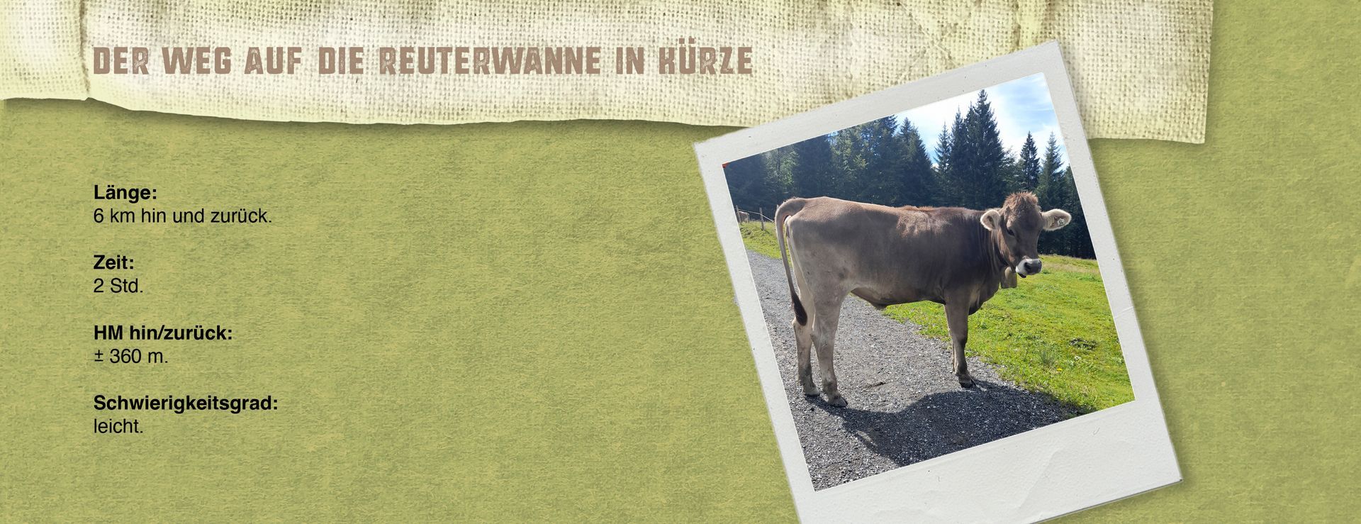 Ansicht eines Infokastens mit den kompakten Informationen zu Wanderung auf die Reuterwanne im Allgäu