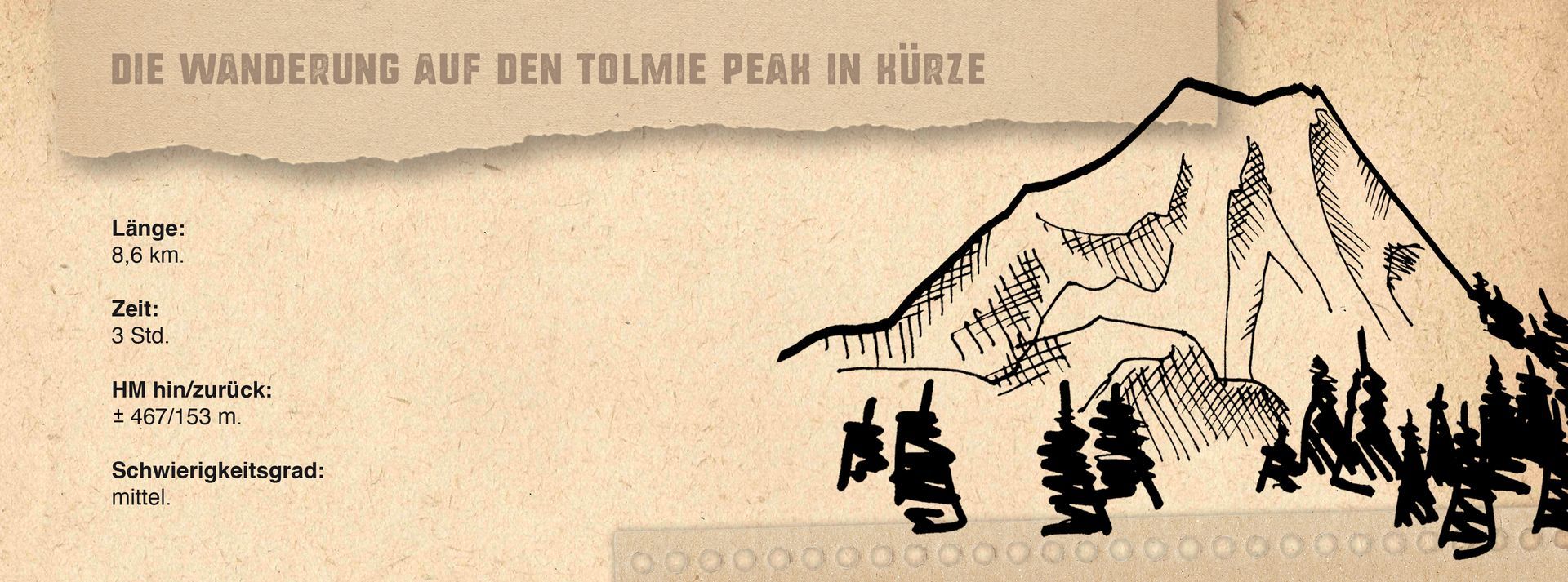 Ansicht einer Grafik eines Kastens mit den wissenswerten Kurziformationen zum Tolmie Peak Trail