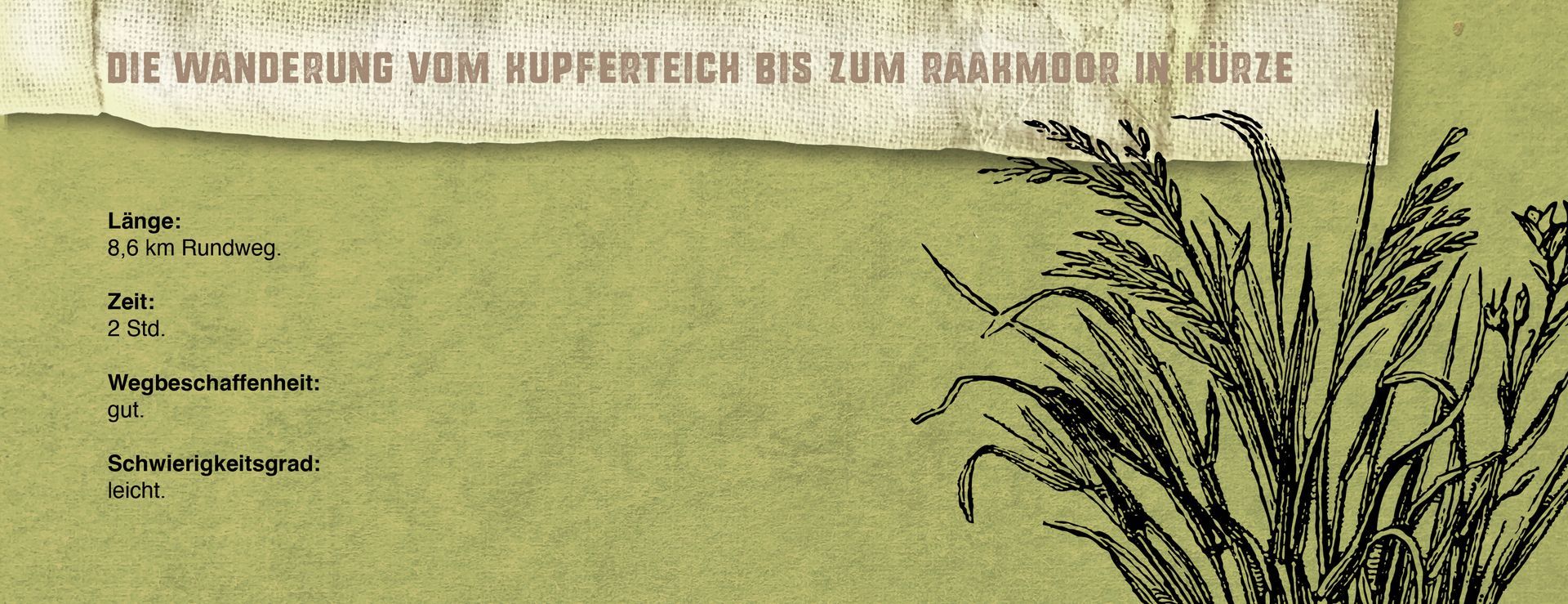 Ansicht einer Grafik eines Kastens mit Kurzinformationen zur Wanderung vom Kupferteich über den Hummelsee bis zum Raakmooor