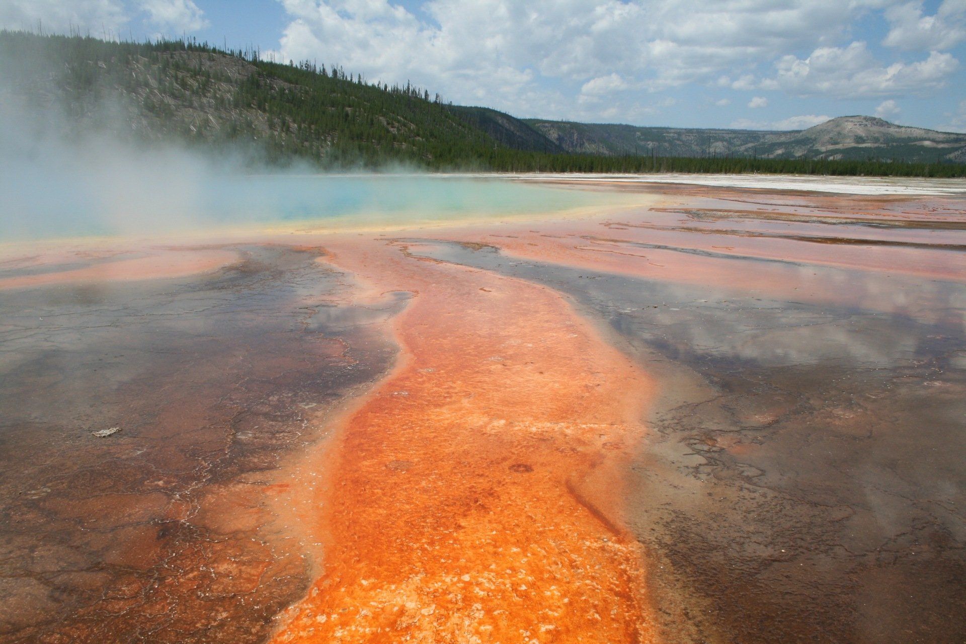 Blick auf die Grand Prismatic Spring im Yellowstone National Park
