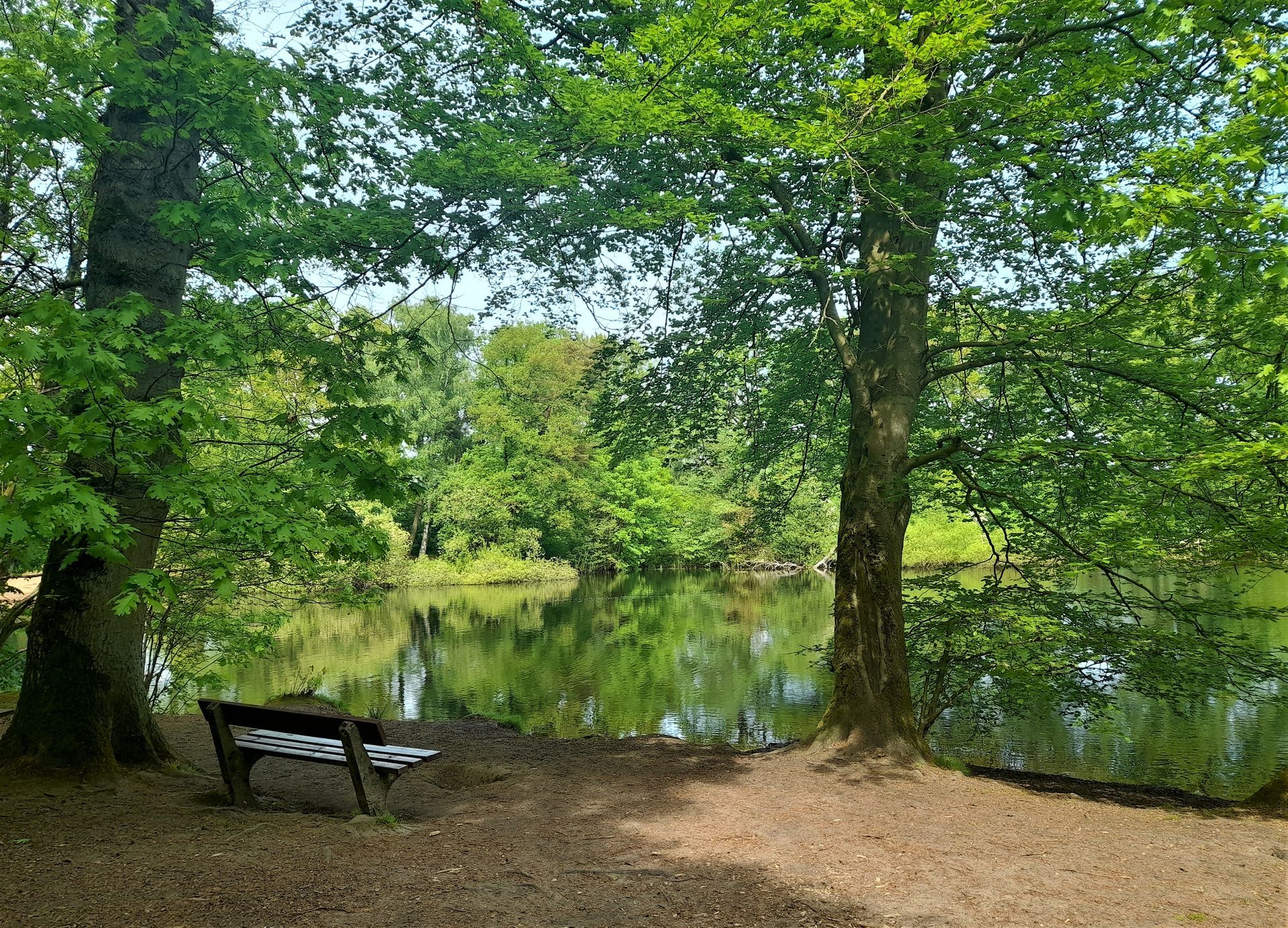 Blick auf den Kupferteich im Frühling