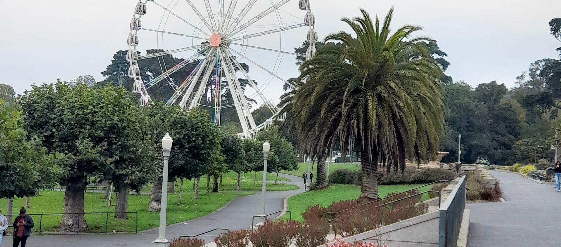 Blick auf das Riesenrad im Golden Gate Park in San Francisco