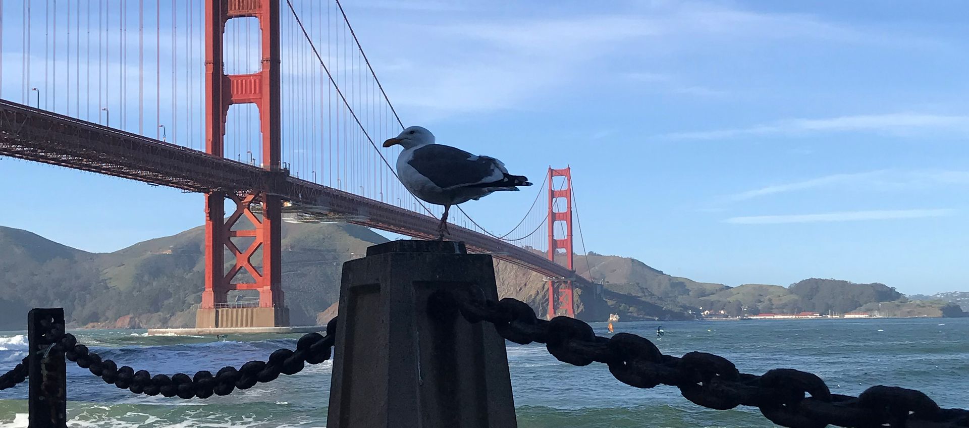 Blick auf die Golden Gate Bridge und die Bay von San Francisco