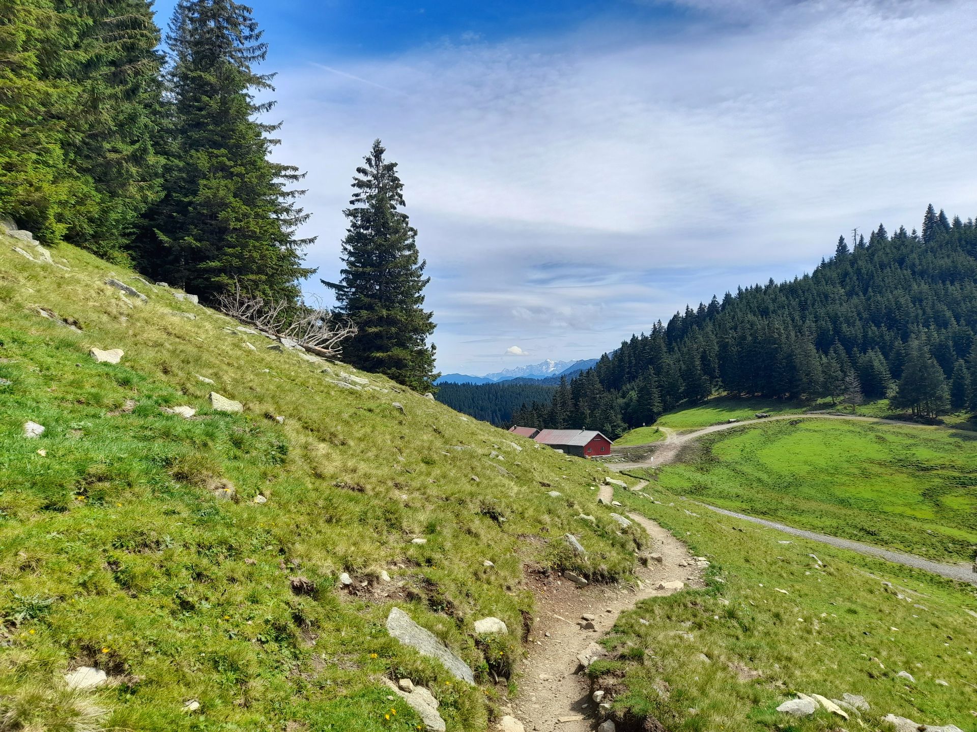Blick auf den Weg zur Reuterwanne und die Allgäuer Berge im Hintergrund