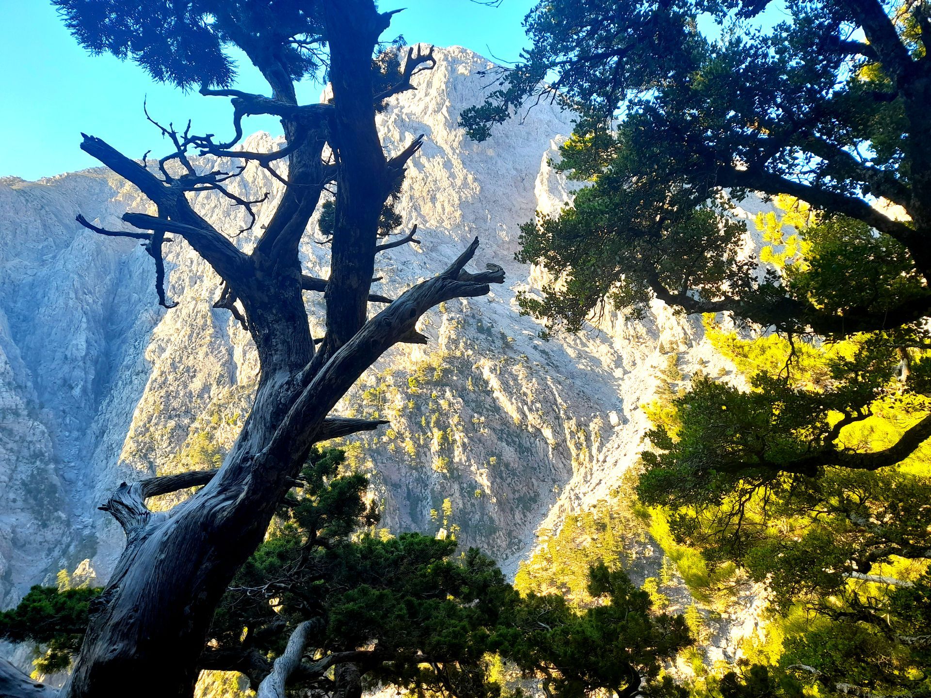 Blick auf die Weißen Berge am Anfang der Samaria-Schlucht Wanderung