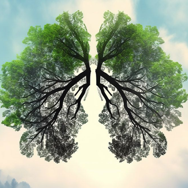 Richtig atmen lernen mit Joél Heiniger