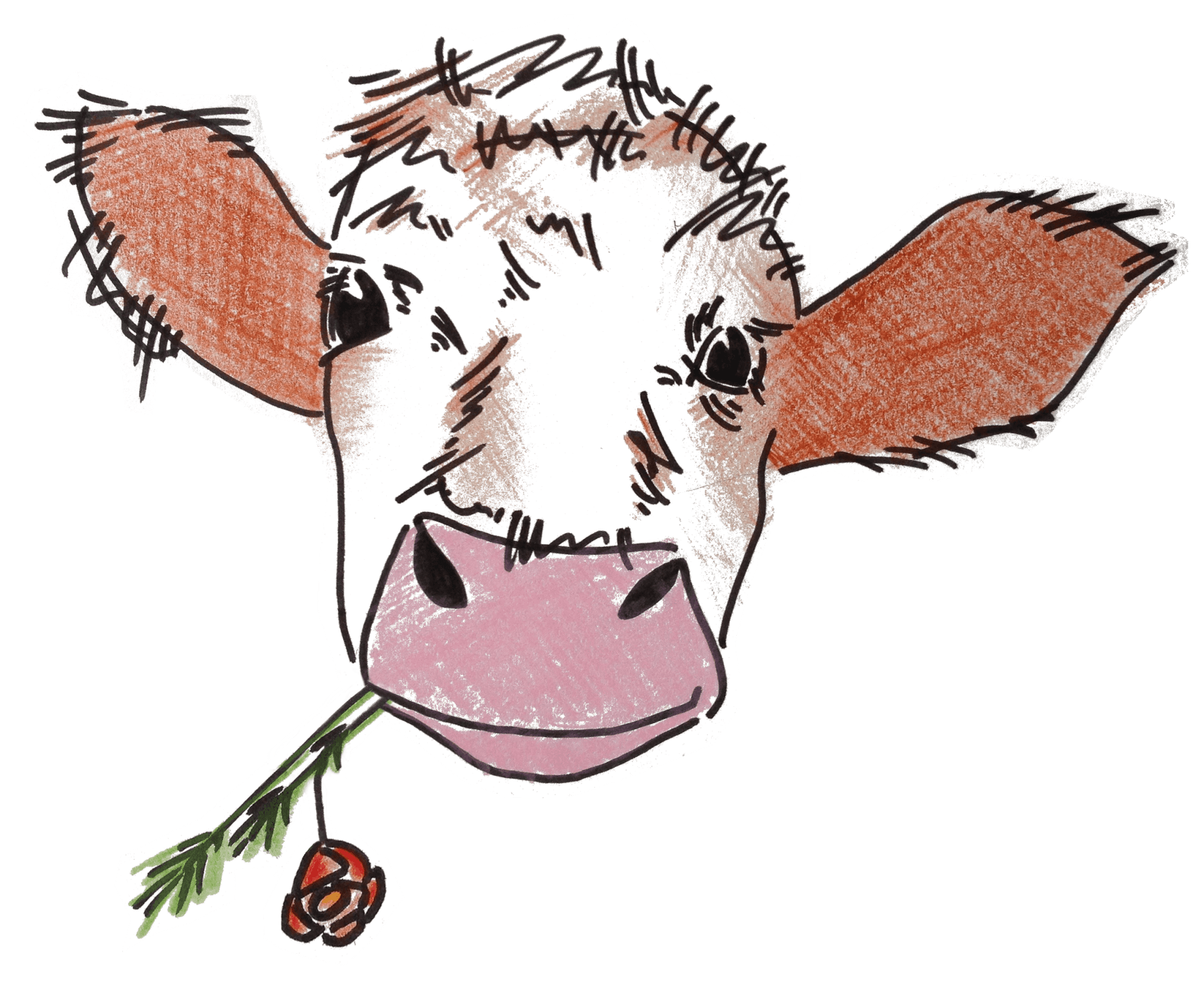 Jamaika, unsere Milchkuh freut sich auf Gäste Jamaika, unsere Milchkuh freut sich auf Gäste