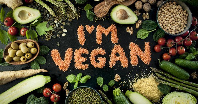 Produits vegan non végétalien sur la boutique ariix newage
