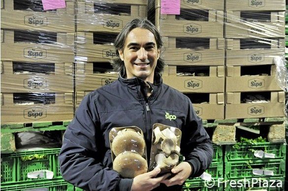 THERE ARE MUSHROOMS...AND MUSHROOMS