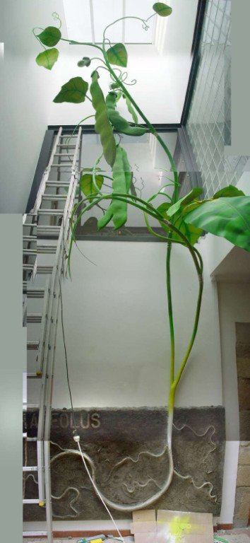 Escultura de la planta de las judías - Museo Mallorca