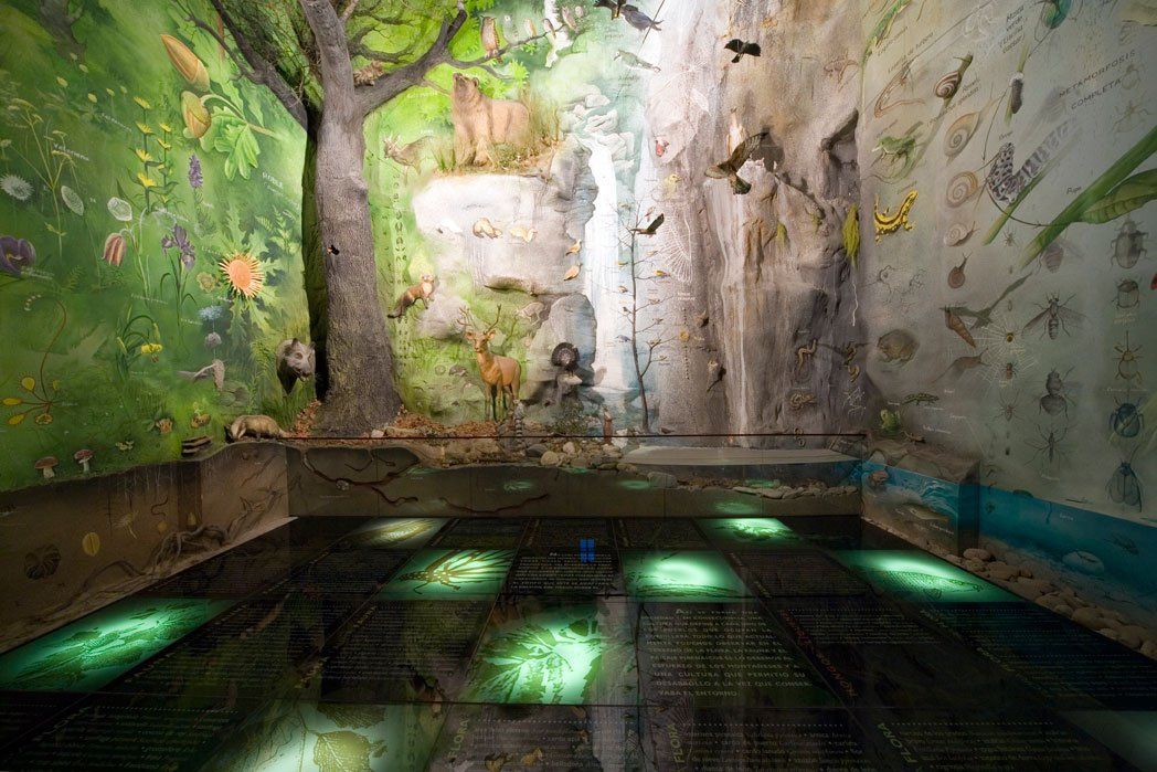 Pintura mural sobre la Biodiversidad en el Espacio Pirineos de Graus. Idea: Luis Utrilla. Producción: Calidoscopi. escultura: Jaume Cases