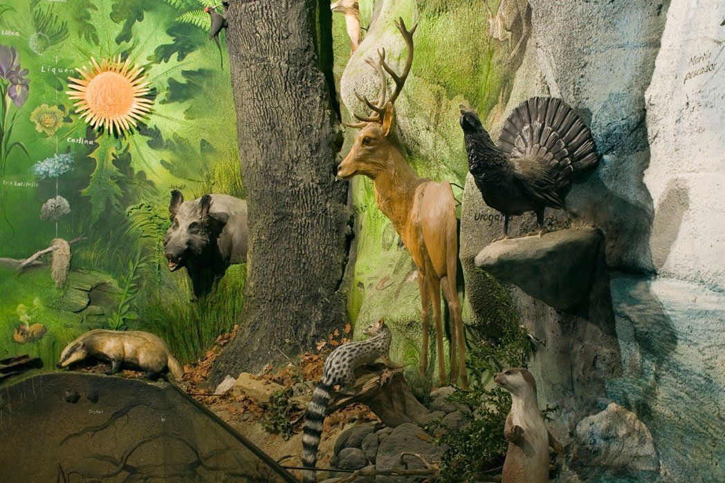 Pintura mural sobre la Biodiversidad en el Espacio Pirineos de Graus. Idea: Luis Utrilla. Producción: Calidoscopi. escultura: Jaume Cases