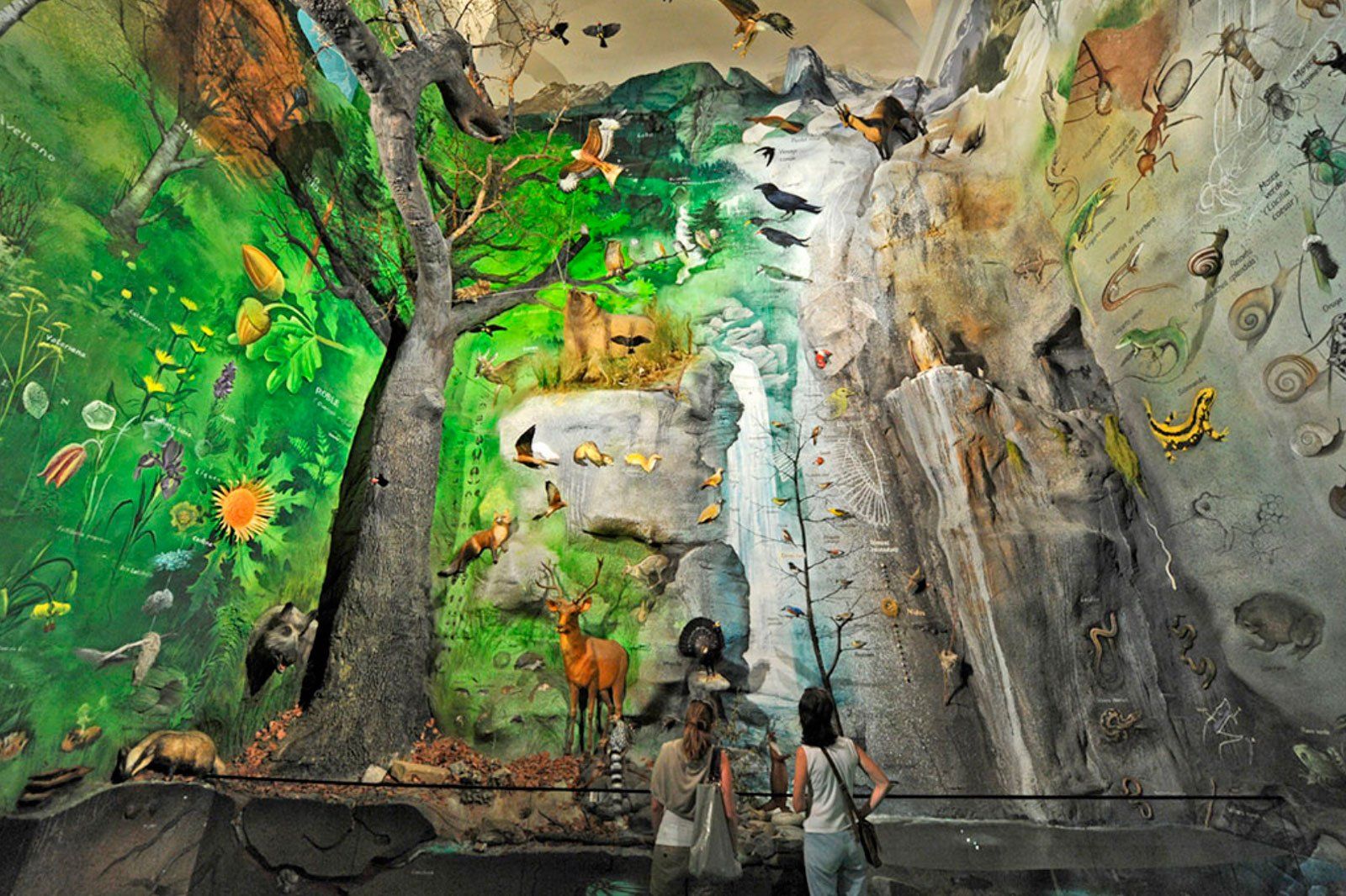 Pintura mural sobre la Biodiversidad en el Espacio Pirineos de Graus. Idea: Luis Utrilla. Producción: Calidoscopi. escultura: Jaume Cases