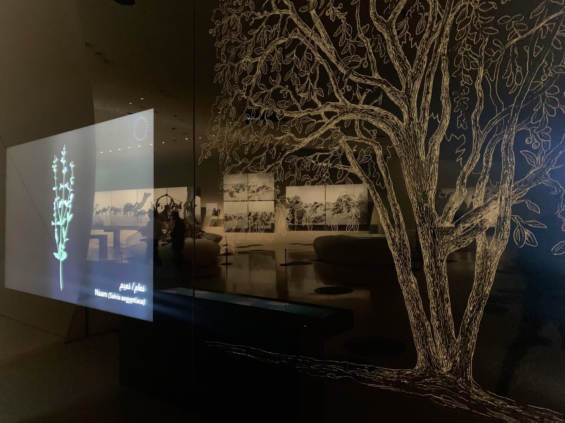 Pintura mural estilo grabado del árbol de la sidra para el Museo Nacional de Qatar. Empty