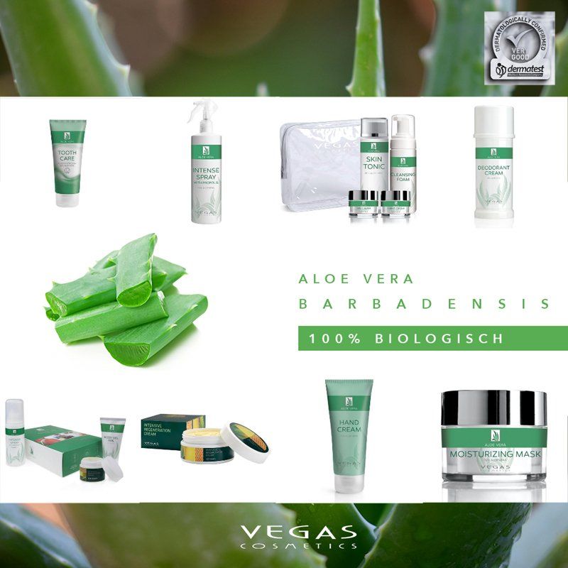 Aloe Vera Pflege Produkte