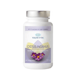 Cistus Incanus by Vegas Vital