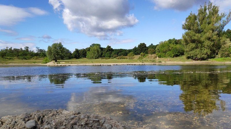 Die Rheinaue Westhoven Köln