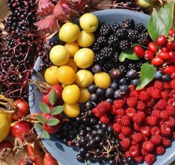 Berries and fruit