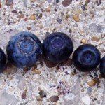 Bilberries