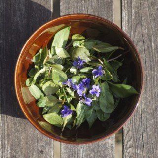 Early spring salad Early spring salad