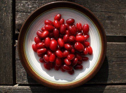 Cornelian cherries on plate