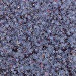 Berberis darwinii Darwins barberries