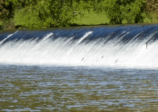 Con Sabor a Guadalmez