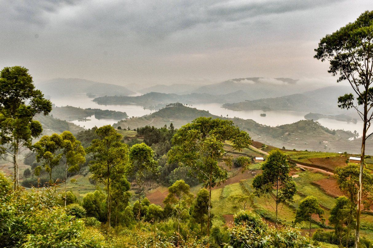 Uganda Safari book with the experts of Nature Responsible Safari Uganda