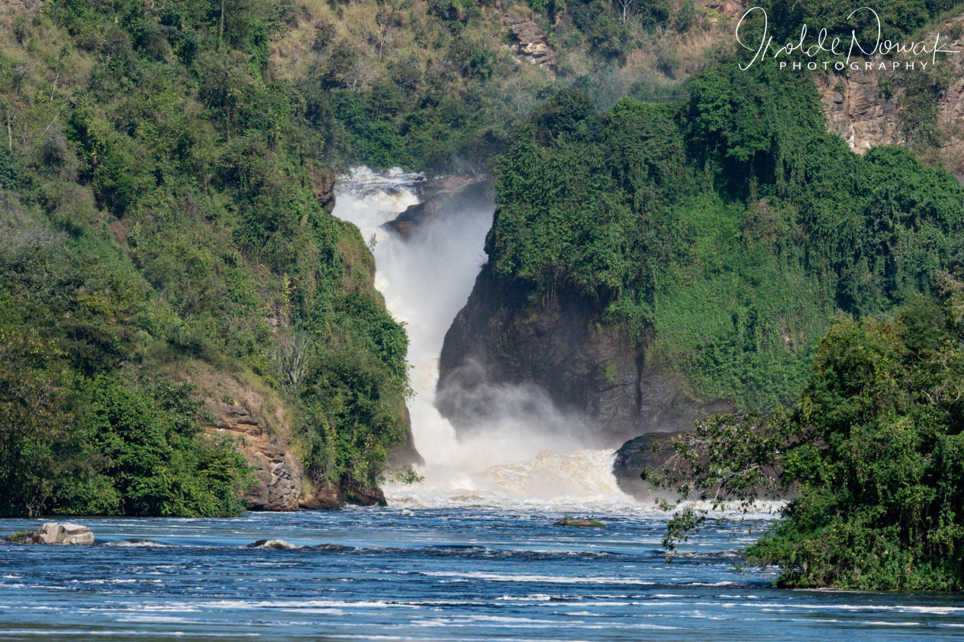 Murchison Falls, Waterfall, Rainforest, Uganda, Gorilla, Birding, Travel, Uganda Safaris, Mountain Gorillas, Gorilla Tracking, Gorilla Trekking, Uganda Tours, Uganda Tour Operators, Uganda Roundtrip, Uganda Reise, Uganda Trips, Uganda travel, Uganda Grouptrips, Uganda Gruppenreise