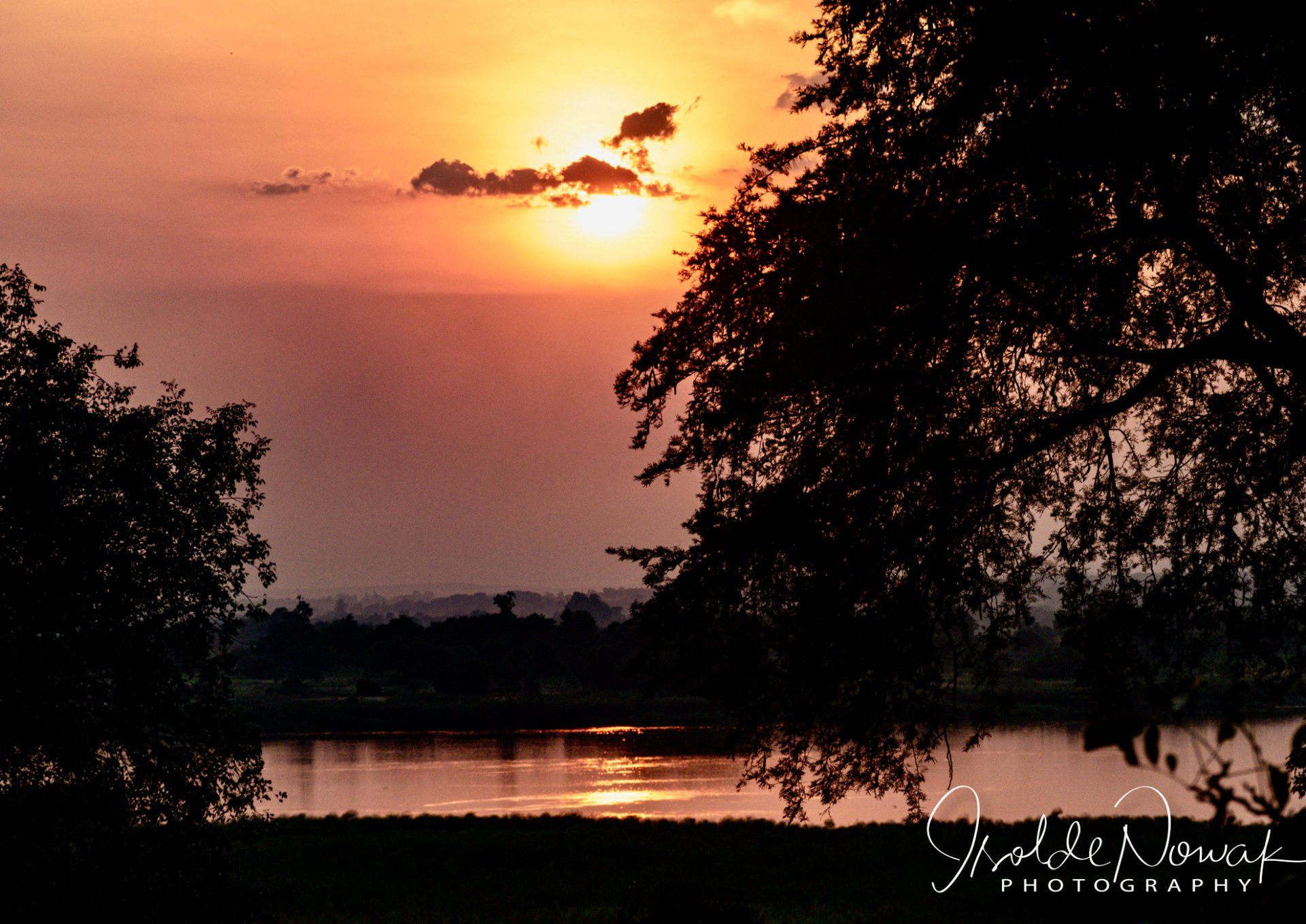 sunset, Nile, Uganda, Gorilla, Birding, Travel, Uganda Safaris, Mountain Gorillas, Gorilla Tracking, Gorilla Trekking, Uganda Tours, Uganda Tour Operators, Uganda Roundtrip, Uganda Reise, Uganda Trips, Uganda travel, Uganda Grouptrips, Uganda Gruppenreise, nature responsible, Kidepo, Mburo, Murchison, Bwindi, Kibale