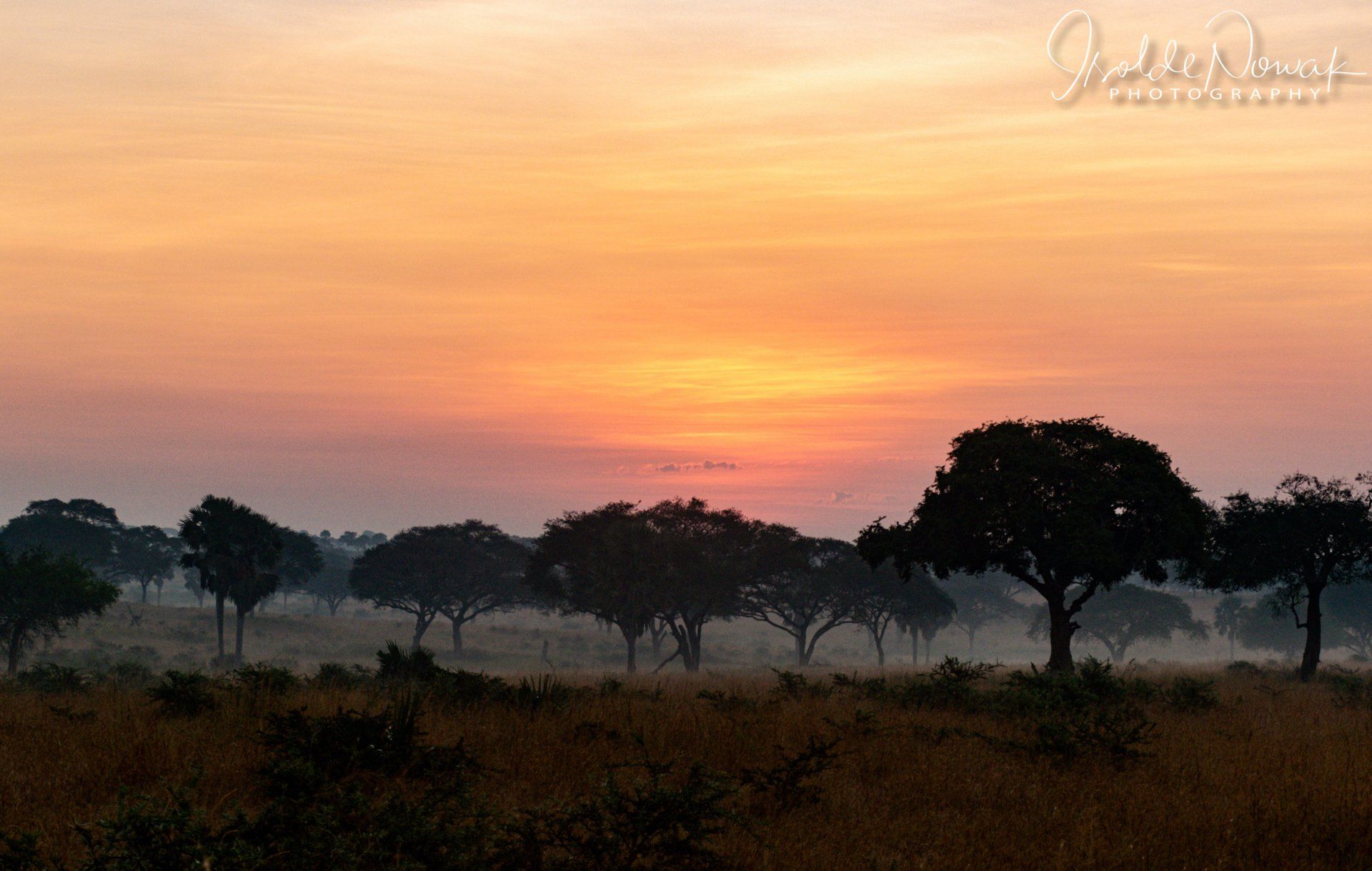 Sunset Murchison Falls NP, Uganda, Gorilla, Birding, Travel, Uganda Safaris, Mountain Gorillas, Gorilla Tracking, Gorilla Trekking, Uganda Tours, Uganda Tour Operators, Uganda Roundtrip, Uganda Reise, Uganda Trips, Uganda travel, Uganda Grouptrips, Uganda Gruppenreise, nature responsible, Kidepo, Mburo, Murchison, Bwindi, Kibale
