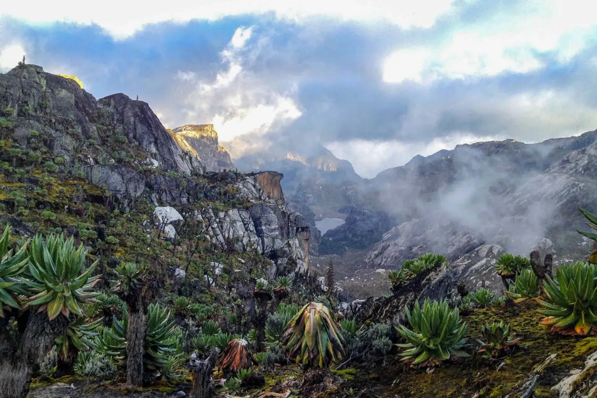Ruwenzori Mountains