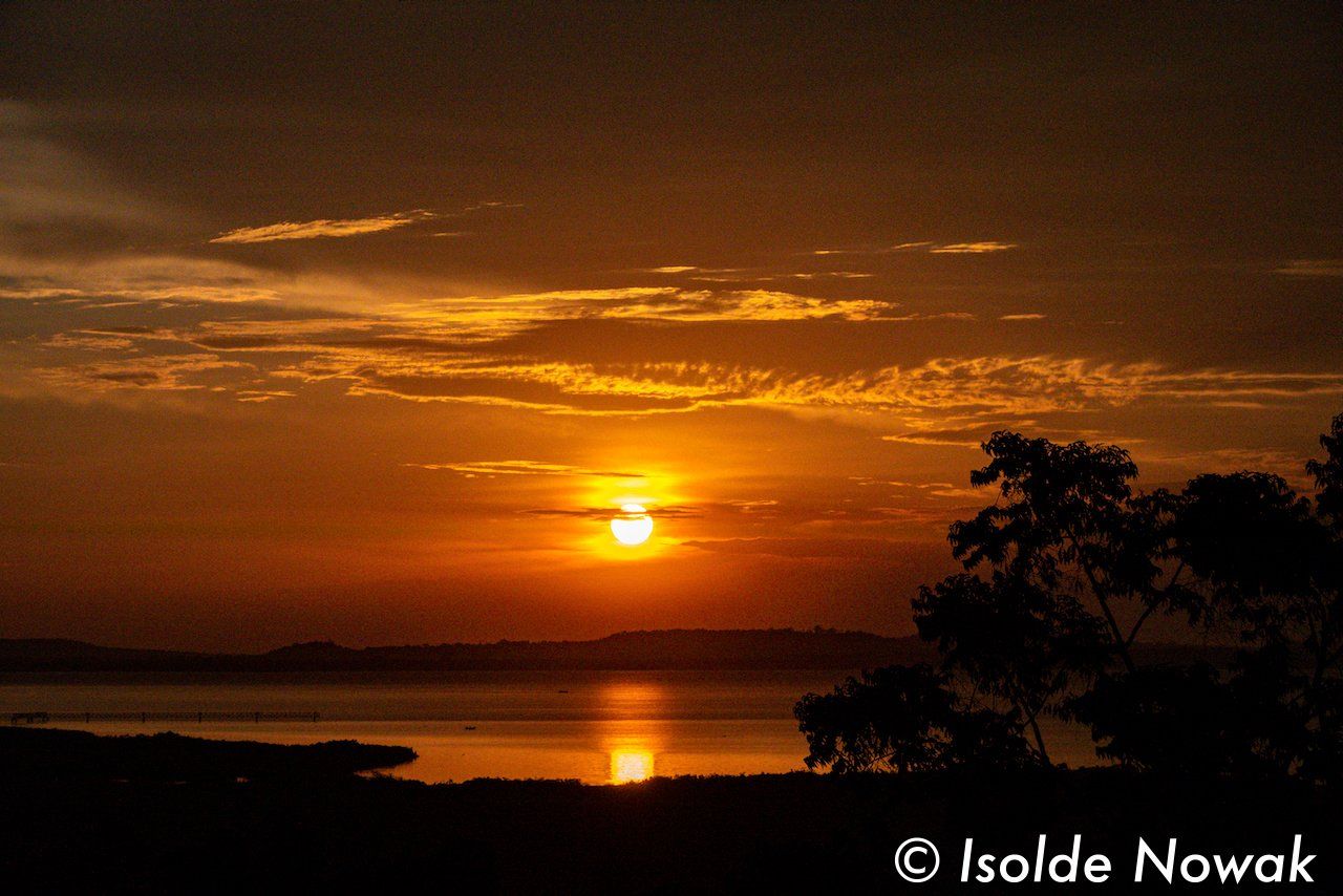 sunset, Nile, Pakuba Safari Lodge, Bee-Eater, Merops, Rainforest, Uganda, Gorilla, Birding, Travel, Uganda Safaris, Mountain Gorillas, Gorilla Tracking, Gorilla Trekking, Uganda Tours, Uganda Tour Operators, Uganda Roundtrip, Uganda Reise, Uganda Trips, Uganda travel, Uganda Grouptrips, Uganda Gruppenreise