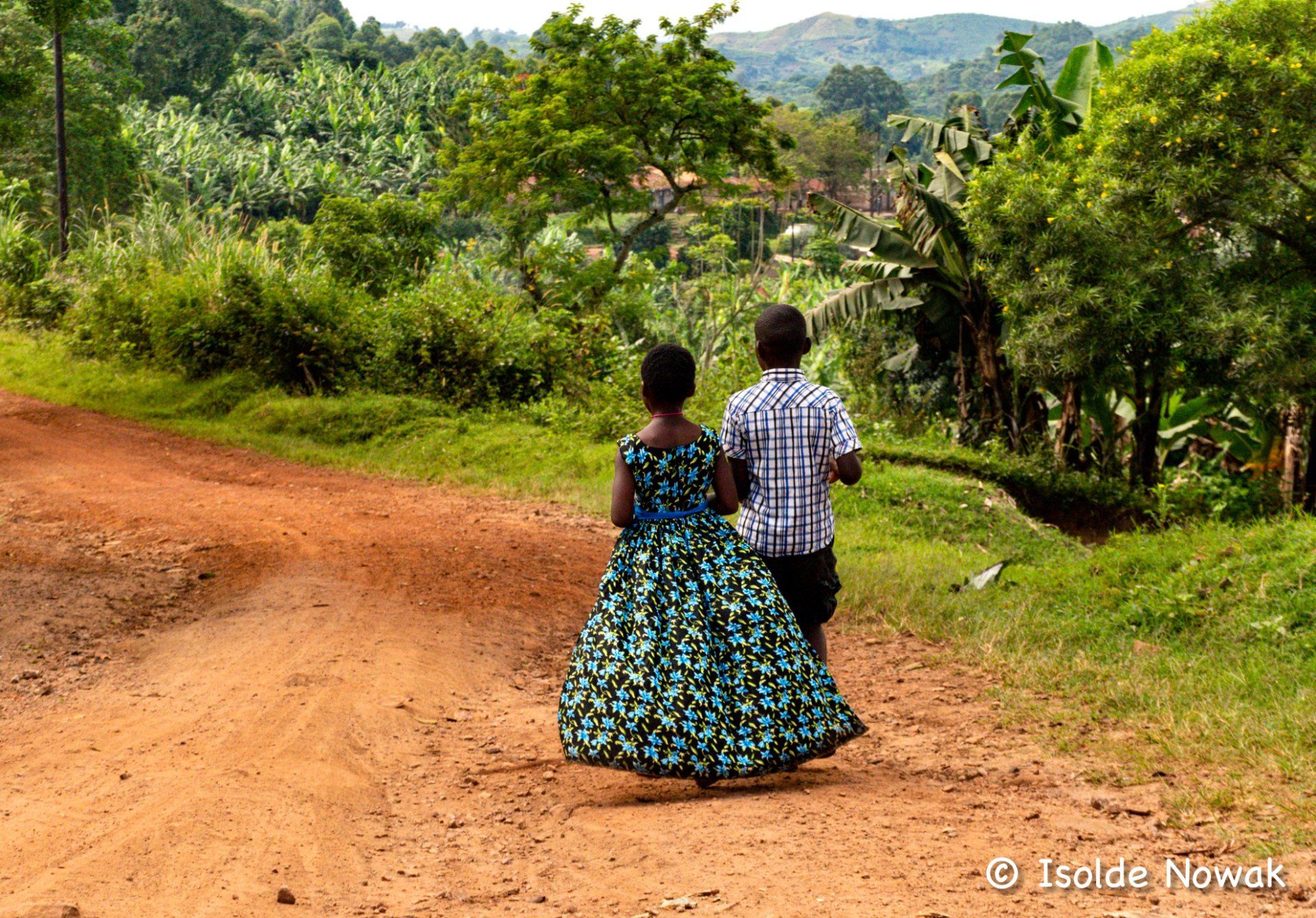 Uganda, Gorilla, Birding, Travel, Uganda Safaris, Mountain Gorillas, Gorilla Tracking, Gorilla Trekking, Uganda Tours, Uganda Tour Operators, Uganda Roundtrip, Uganda Reise, Uganda Trips, Uganda travel, Uganda Grouptrips, Uganda Gruppenreise, nature responsible